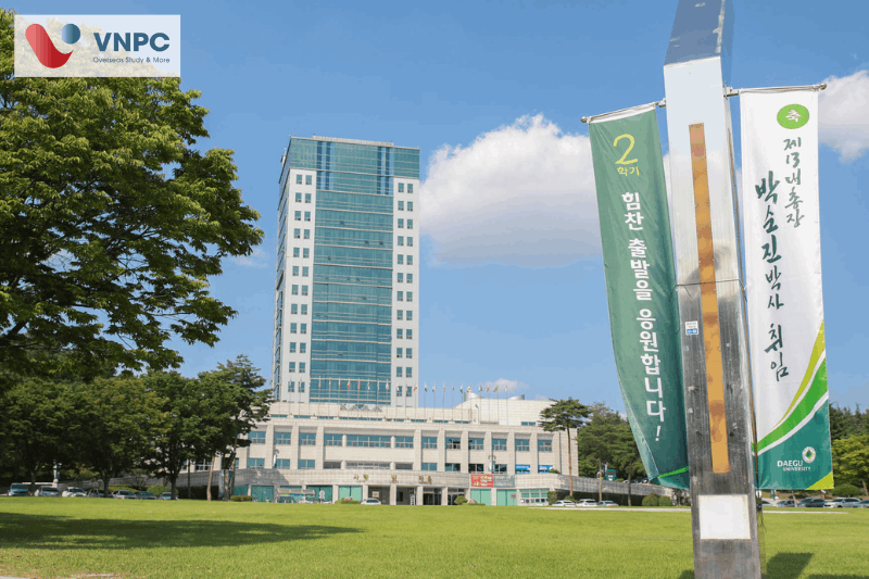 M.77King casino trực tuyến Daegu 